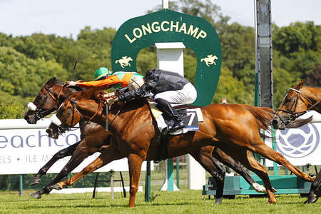 Actualités Hippiques